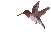 hummngbd2.gif (2885 bytes)
