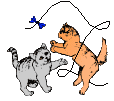 kitplay.gif (2351 bytes)