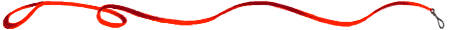 leash1.gif (3666 bytes)