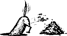 pay_dirt(1).gif (1246 bytes)