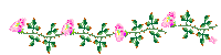 pinkviner1.gif (2100 bytes)
